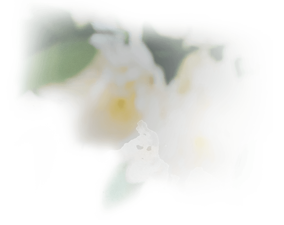 Ozadje zamegljeno